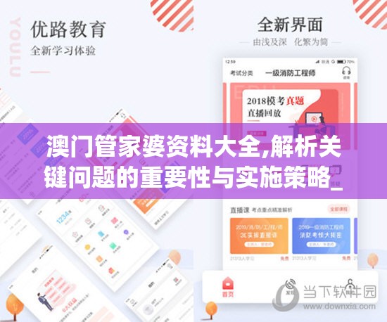 澳门管家婆资料大全,解析关键问题的重要性与实施策略_体育版.1.530