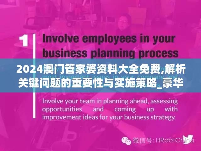 2024澳门管家婆资料大全免费,解析关键问题的重要性与实施策略_豪华制.8.799