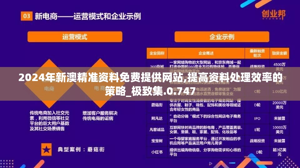2024年新澳精准资料免费提供网站,提高资料处理效率的策略_极致集.0.747