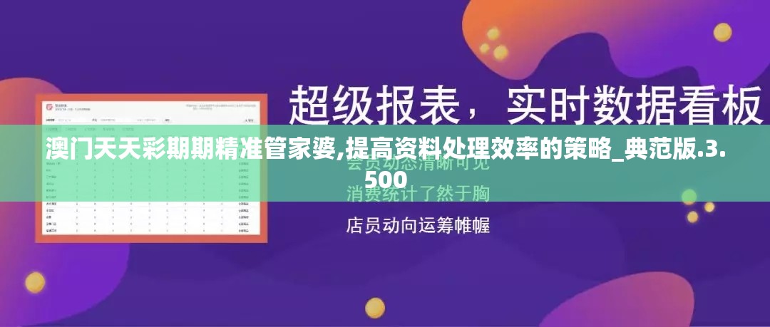 澳门天天彩期期精准管家婆,提高资料处理效率的策略_典范版.3.500