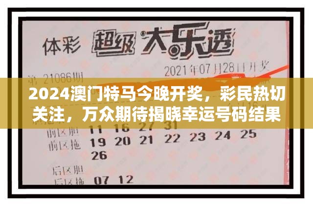 (苏宠宠物有限公司)魔兽钓鱼攻略1～375速冲，从新手到大师的全面指南