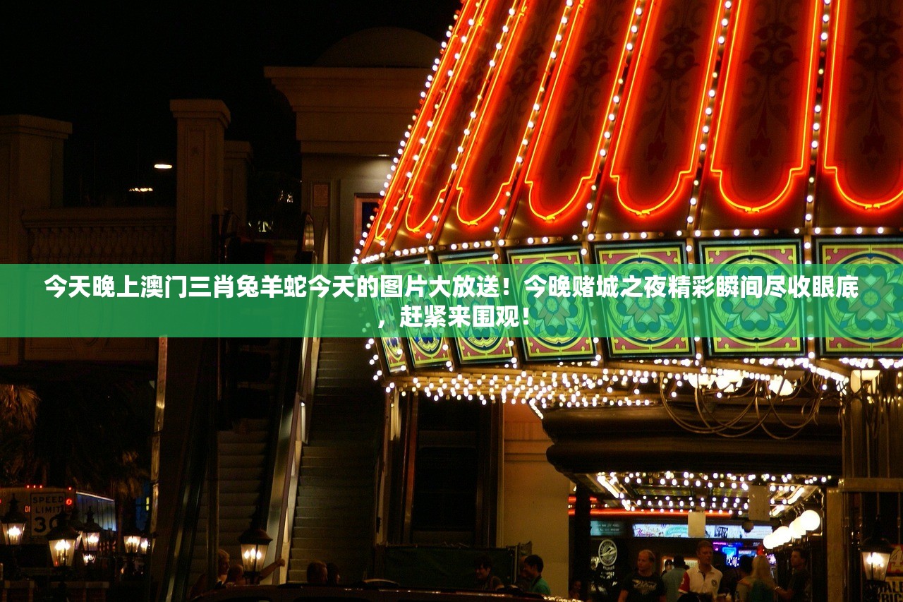 今天晚上澳门三肖兔羊蛇今天的图片大放送！今晚赌城之夜精彩瞬间尽收眼底，赶紧来围观！