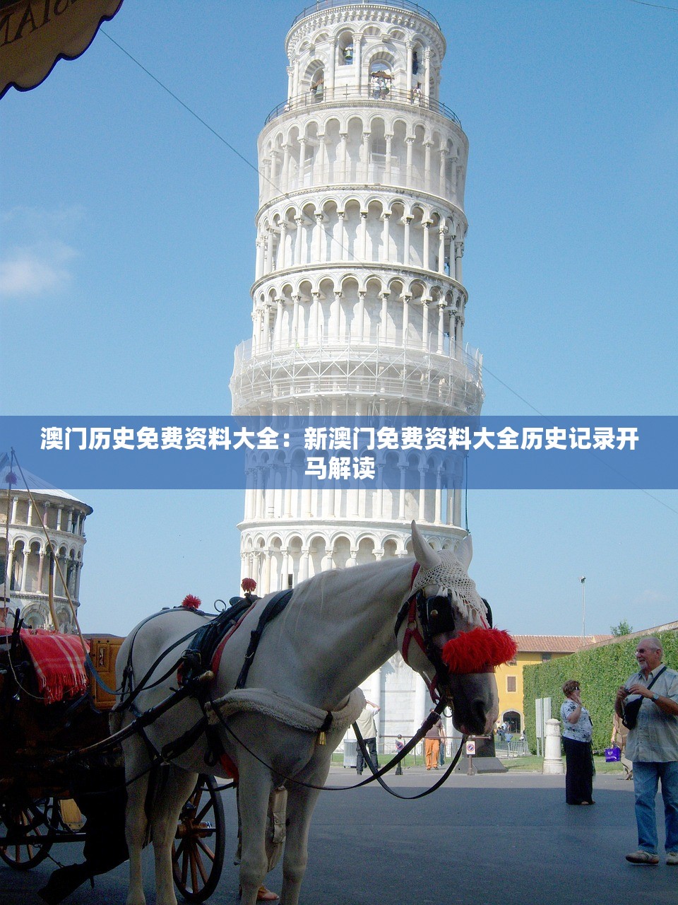 澳门历史免费资料大全：新澳门免费资料大全历史记录开马解读
