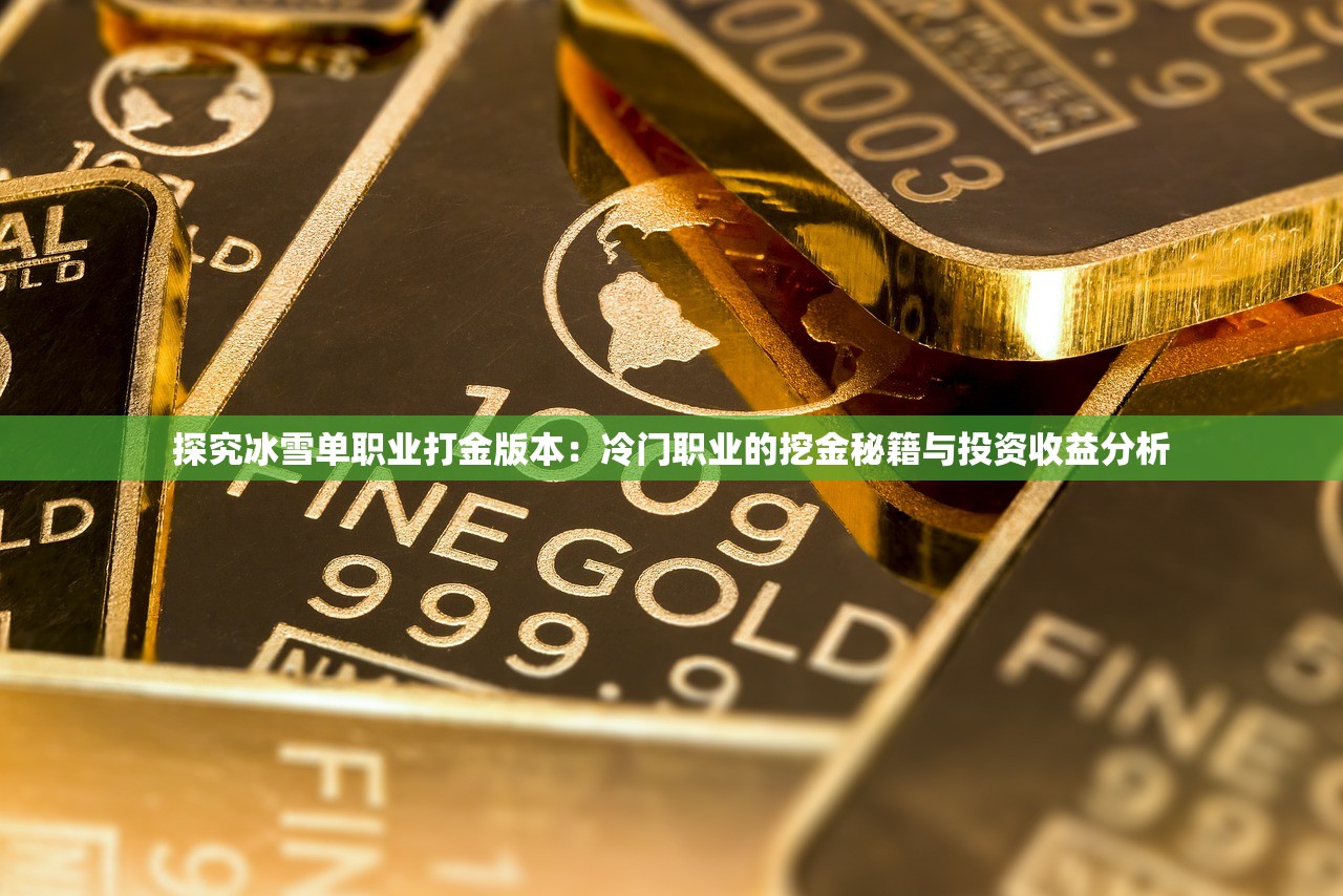 探究冰雪单职业打金版本：冷门职业的挖金秘籍与投资收益分析
