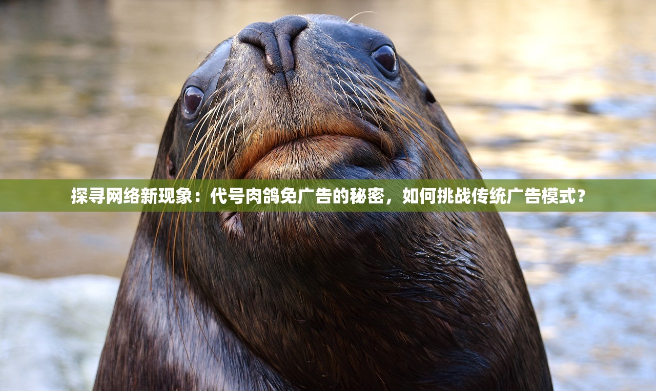 (我是武器战,打架靠风扇,cd一分半,转完就完蛋)我是武器战，深入解析武器战斗技能与个人战略
