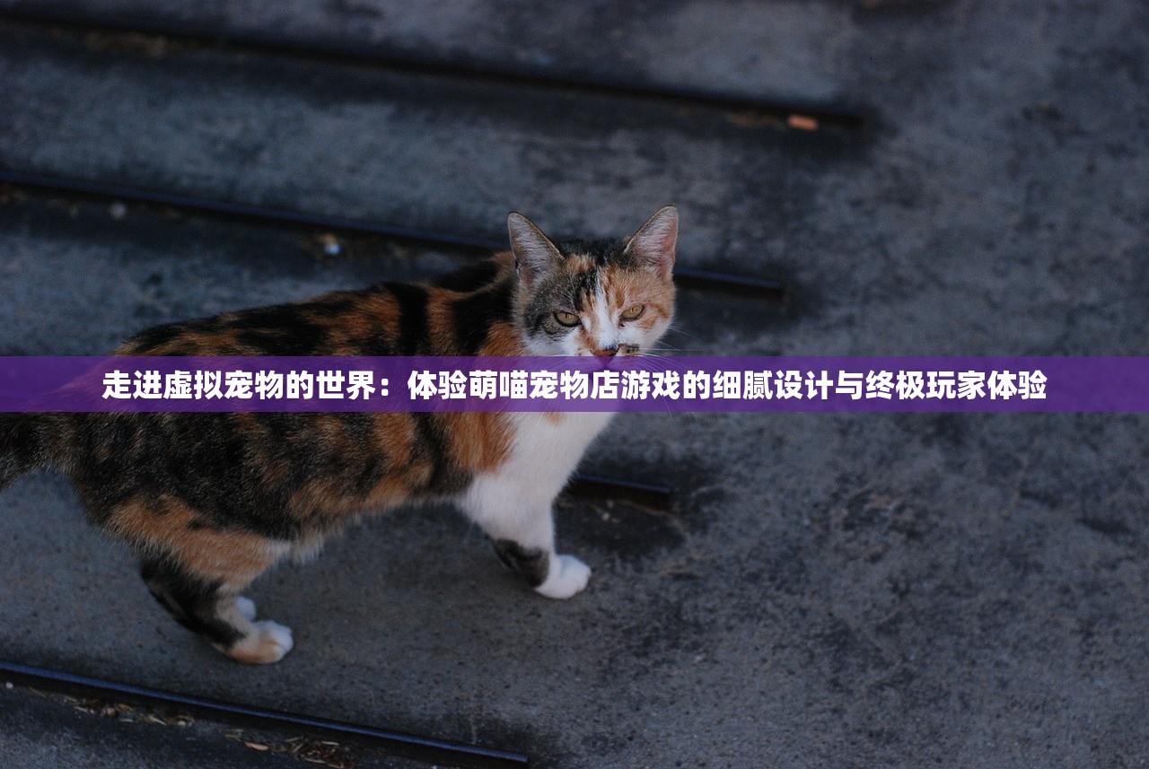 (北凉悍刀行手游下载入口)北凉悍刀行手游，江湖风云再起