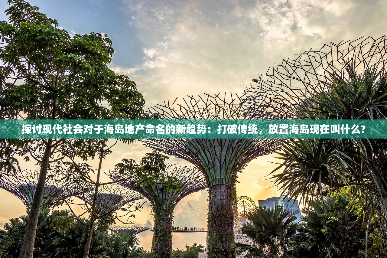 (龙之谷海龙攻略详解)龙之谷，40级海龙攻略详解及常见问题解答