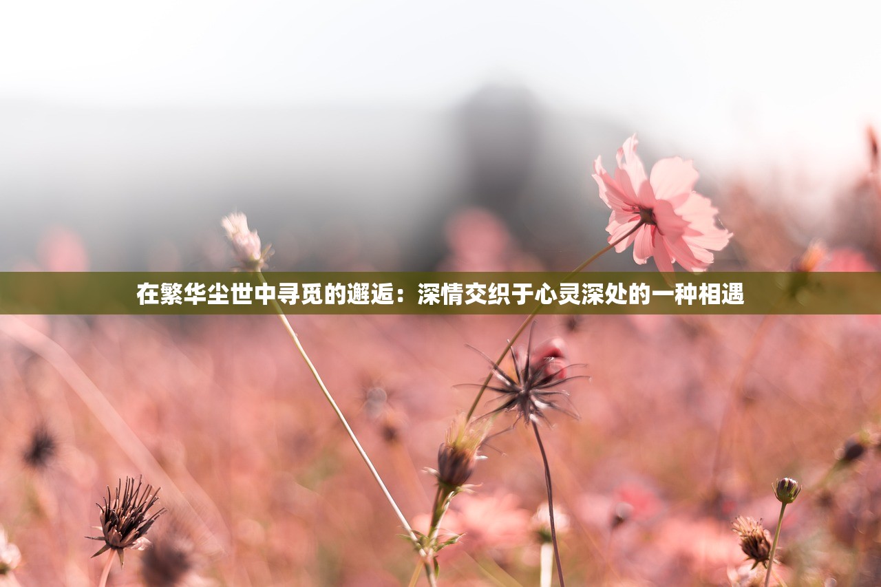 (密室逃脱法老归来第一关怎么过)无锡法老归来密室逃脱攻略大全及常见问题解答
