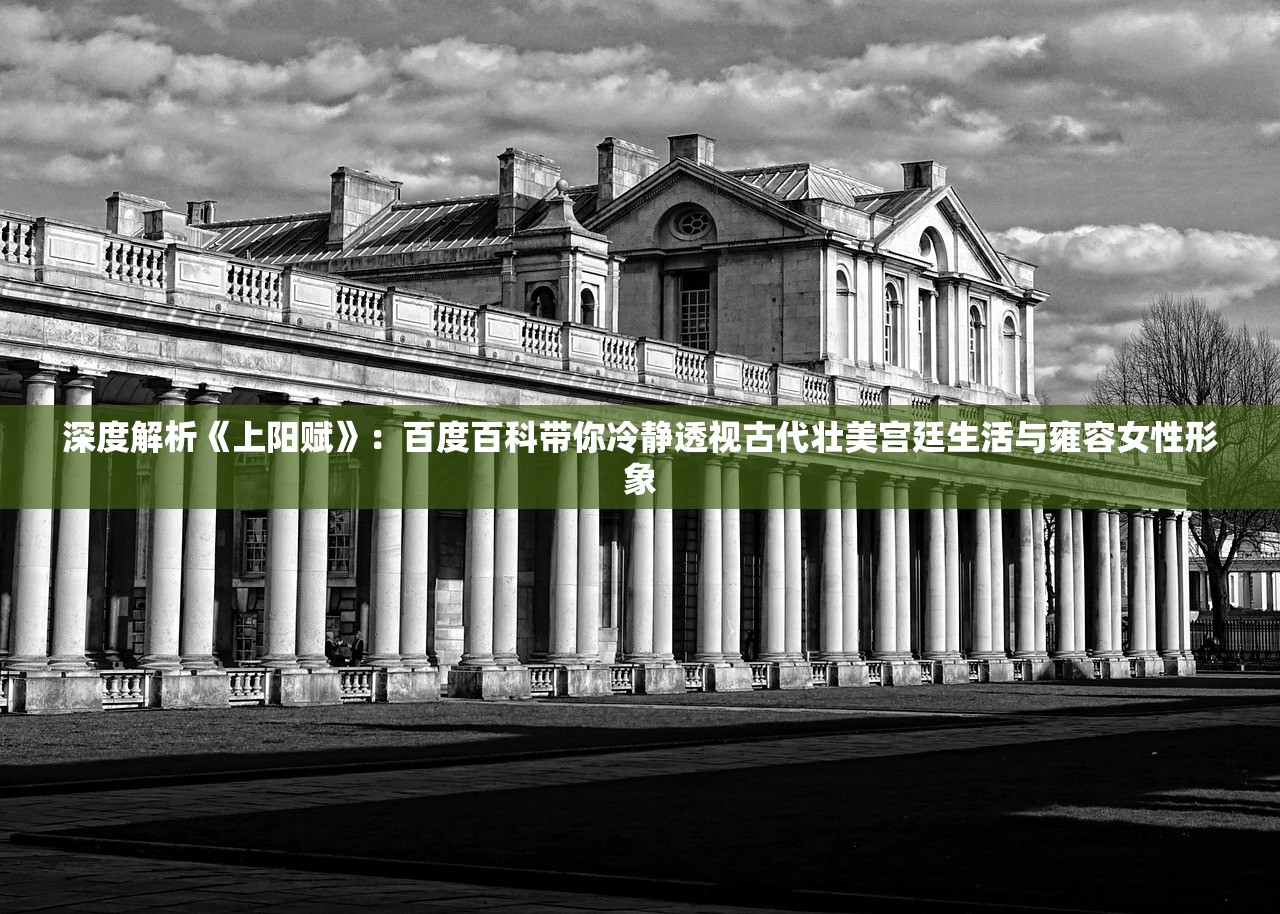 (侠影最高等级是多少级)侠影游戏攻略——玩转侠影，探索无尽江湖路