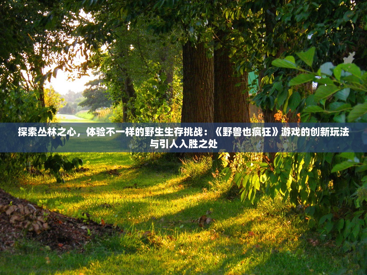 (楼下的早餐店无限金币钻石2023年版)楼下的早餐店无限金币钻石攻略及深度体验
