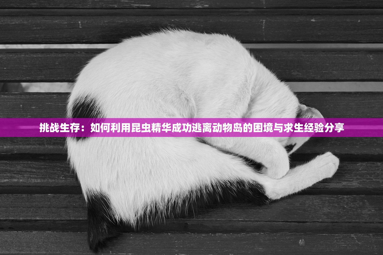 (问道升级攻略2021)问道升级攻略经典服，全方位指南助你飞速成长