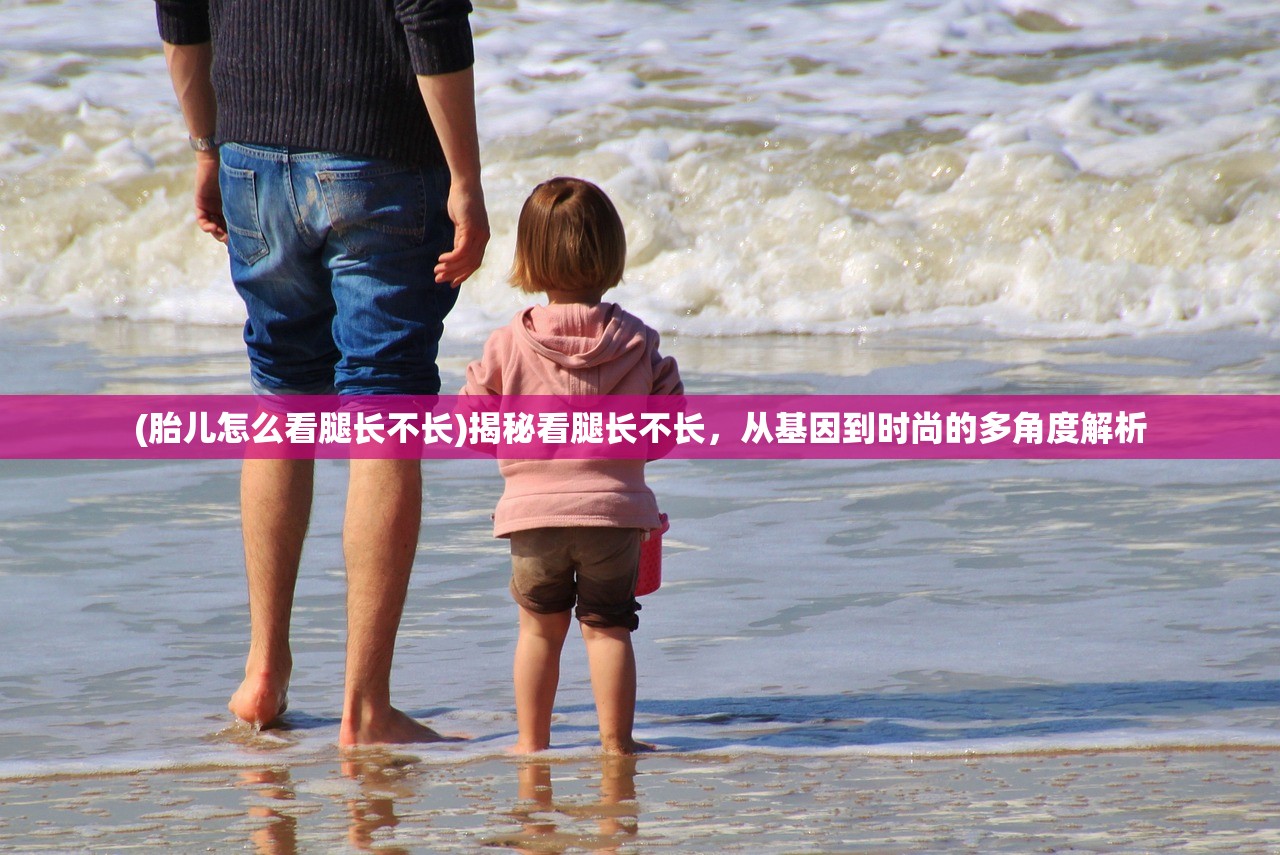 (加斯蒂安)加帝斯英雄官方挖掘金，深度探索与独特魅力