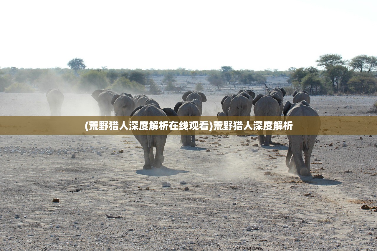 (九转涅槃诀免费阅读)九转涅槃诀，一部引领修炼巅峰的神奇功法，TXT全本免费阅读