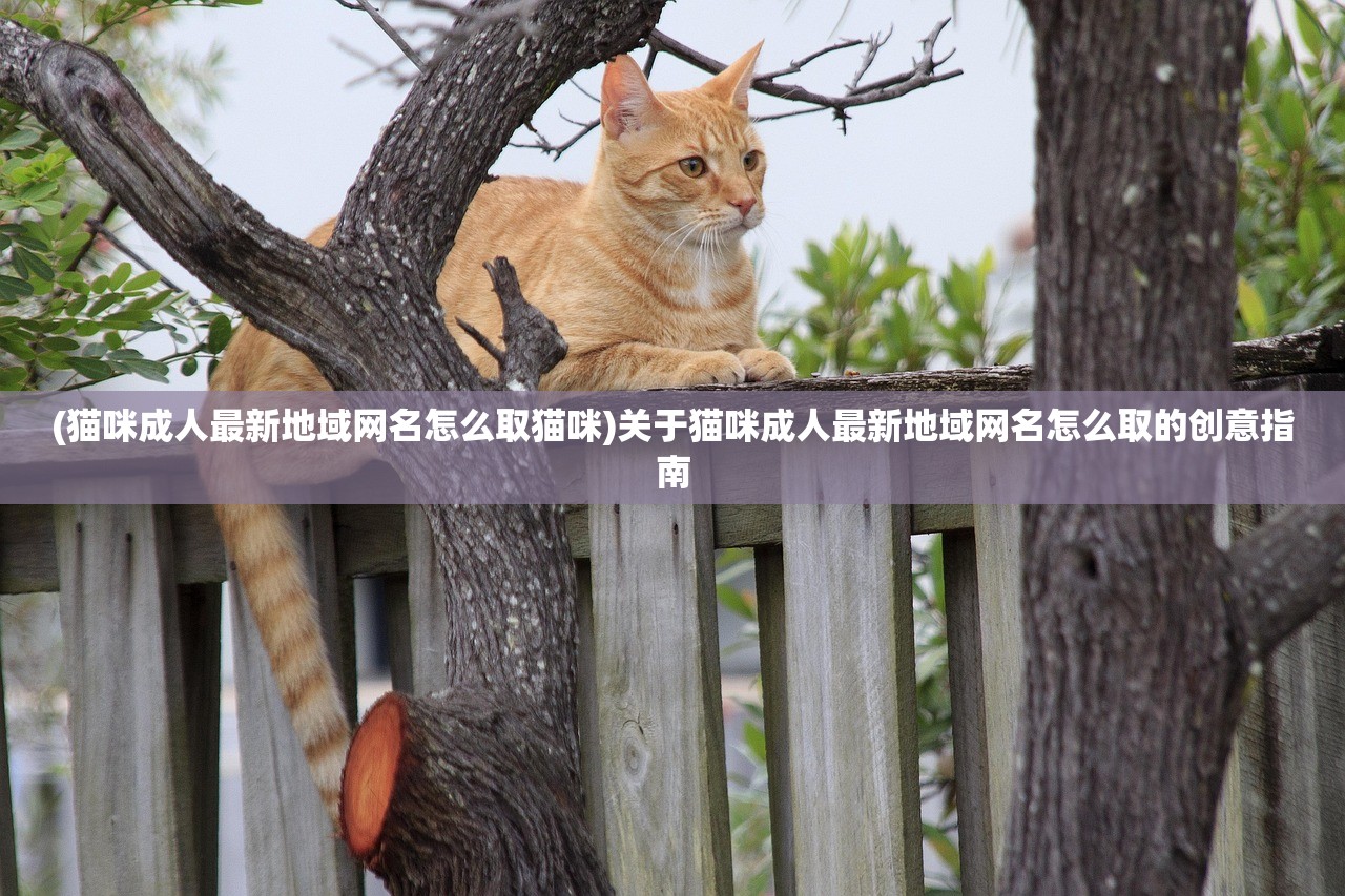 (DC黑暗军团游戏)DC黑暗军团游戏，深度探索与解析