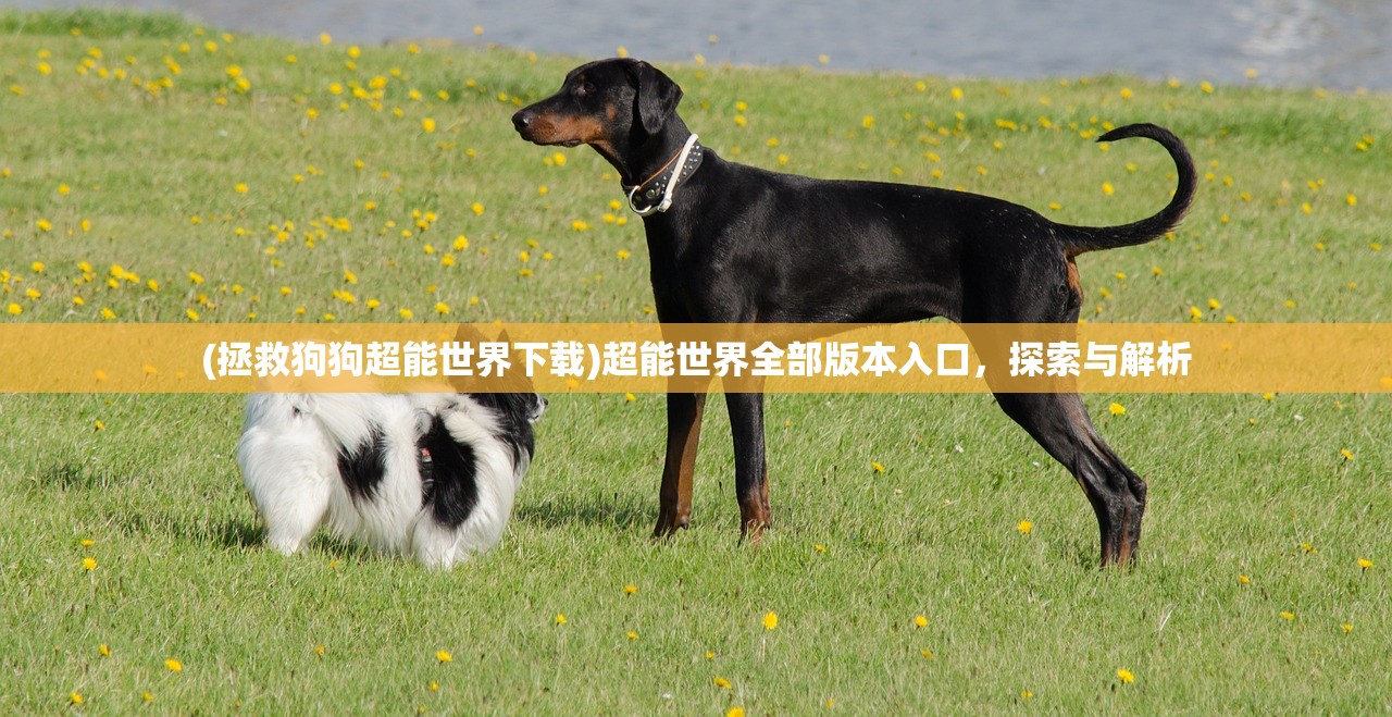 (新仙剑之挥剑问情)仙剑奇侠传之挥剑问情阴阳阵容策略解析与常见问答