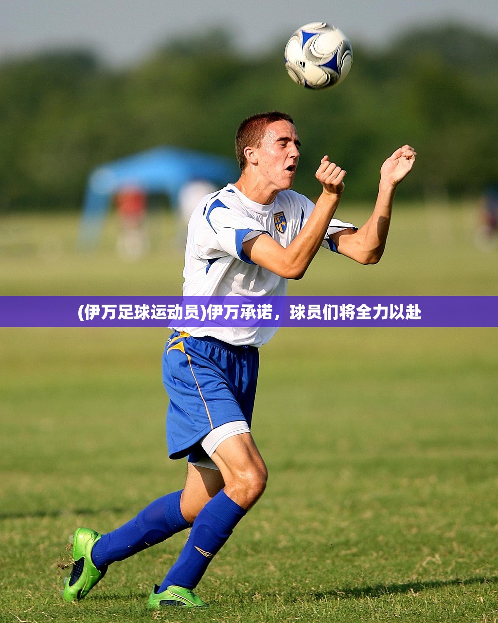 (克瑞因的纷争下载)克瑞因的纷争真实结局，深度解析与探讨
