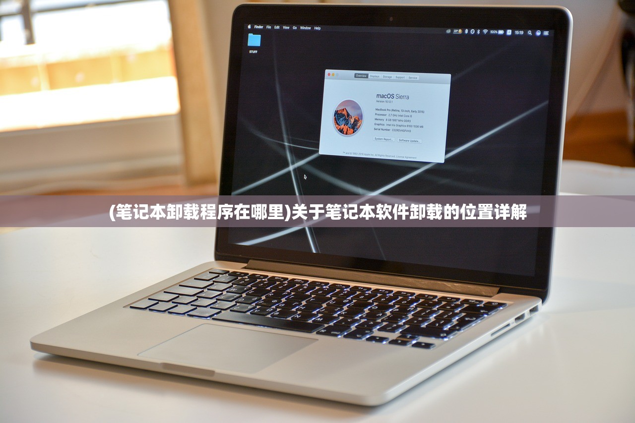 (凯特·波克斯的妻子)凯特·波克斯，一位引领时尚潮流的先锋人物