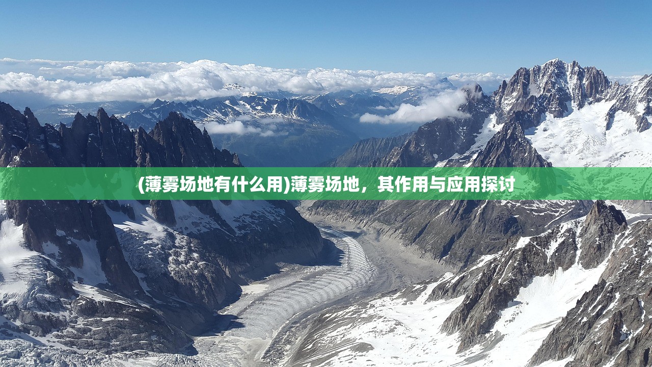 (代号海)代号HANA，探究其背后含义与未来发展