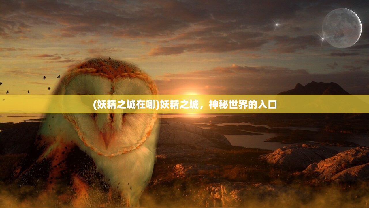 (非狐倚天情缘攻略)菲狐倚天情缘后期最强职业探讨