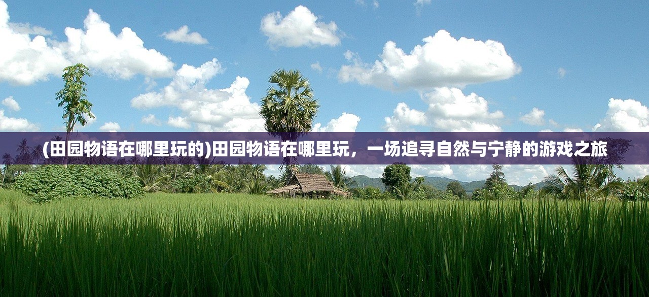 (仙五全支线攻略)仙五地图攻略大全，探索神秘世界的指南