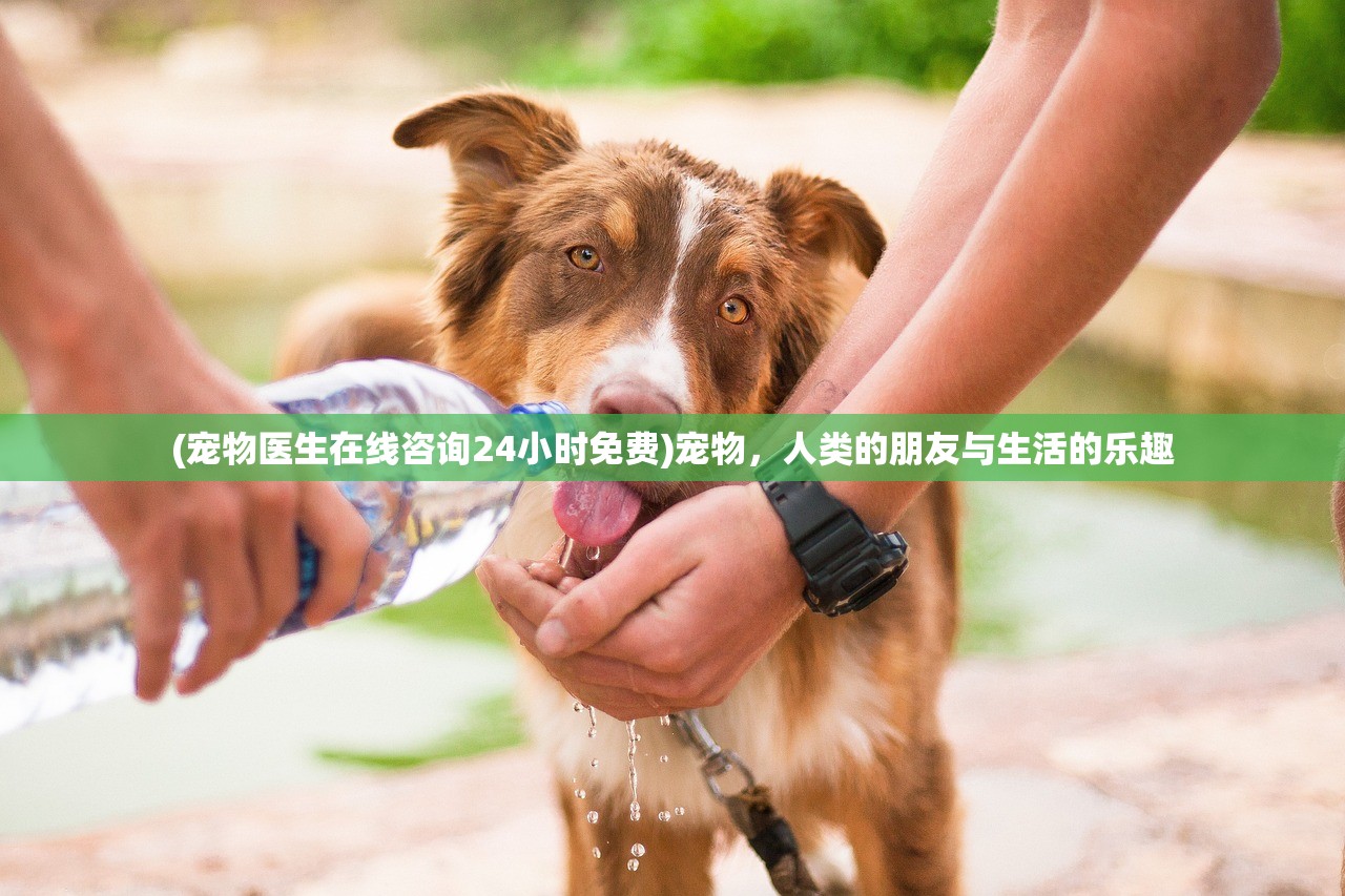 (小兵三国文字游戏攻略)小兵三国文字游戏，策略与冒险的完美结合