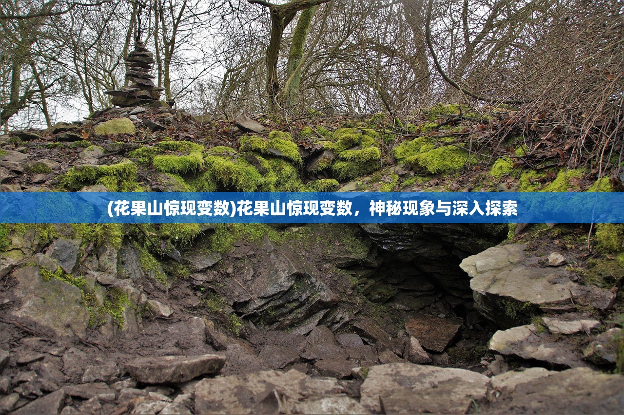 (虾仁饭动画梦回三国1)虾仁饭动画梦回三国，历史与创意的完美结合