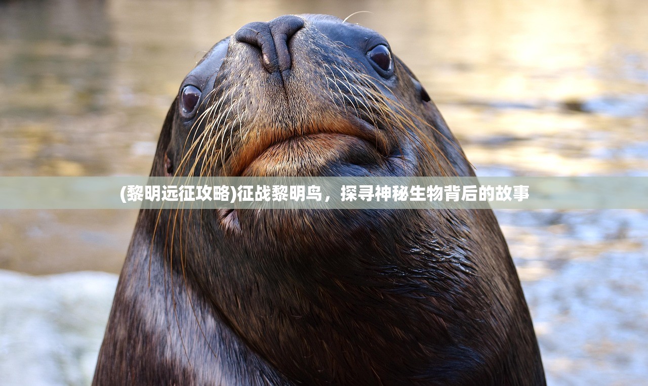 (萌龙进化论破解版无限)萌龙进化论修改器的探索与解析