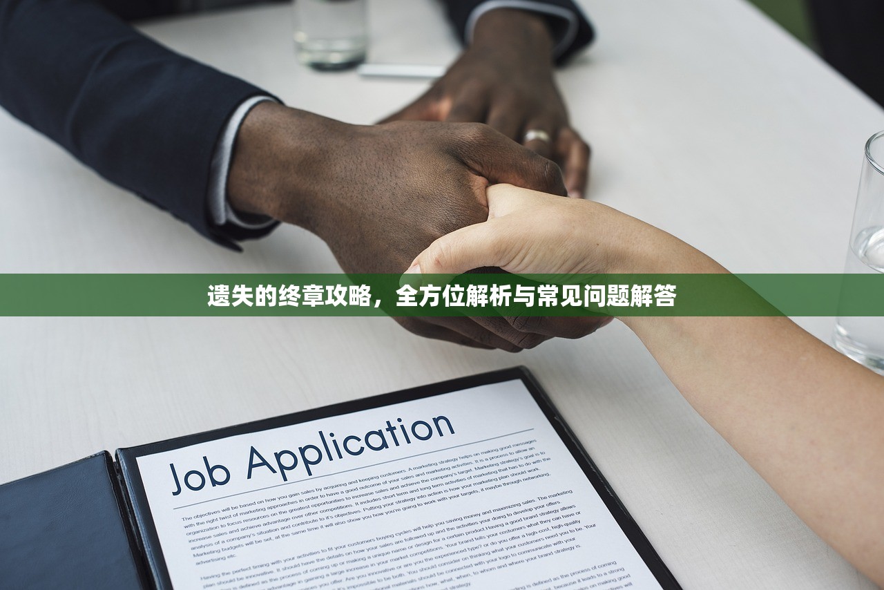 (仙灵觉醒飞羽怎么搭配伙伴)仙灵觉醒飞羽，神秘力量的觉醒与探索