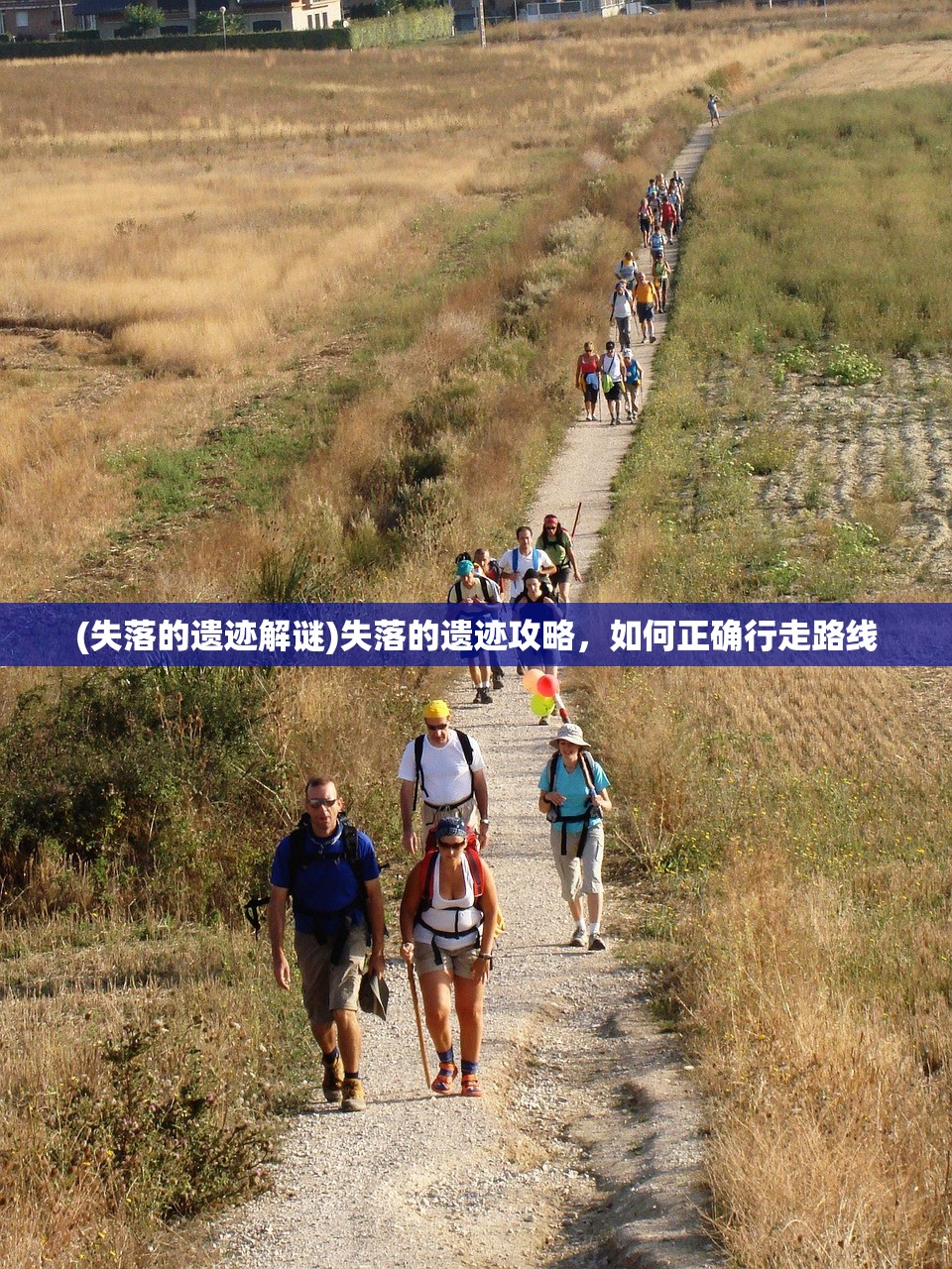 (taptap战塔英雄)塔塔英雄吧，探寻这一独特英雄世界的魅力所在