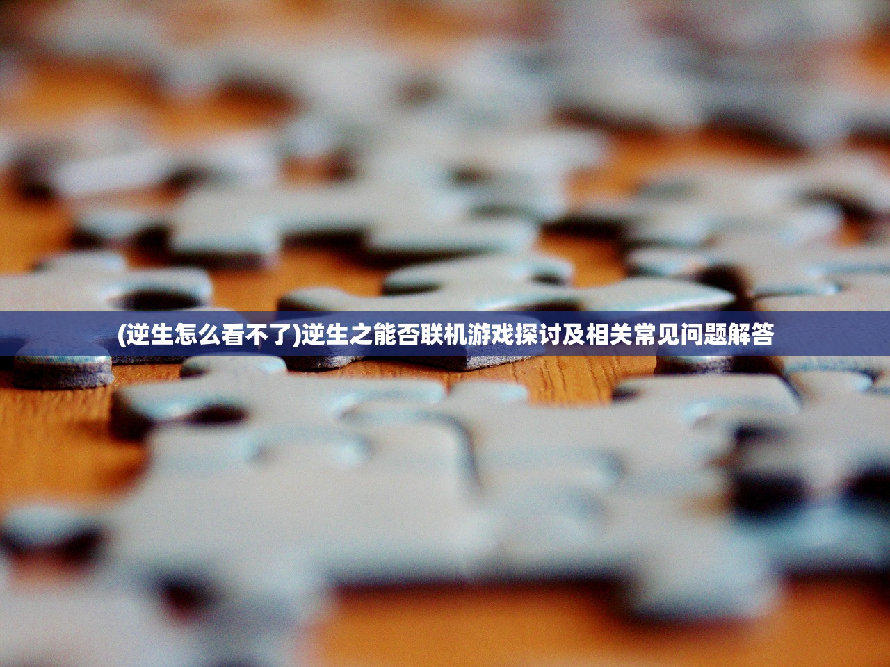 我的喵会功夫，内置作弊菜单与折相思的探索