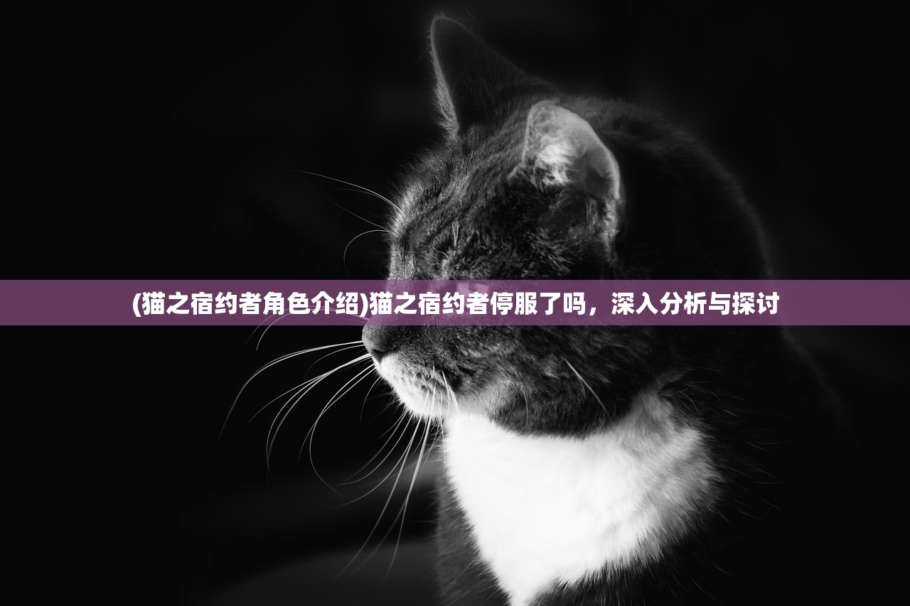 (黑神话 悟空进度)揭秘黑神话悟空DLC进度，玩家翘首以待的新篇章曝光