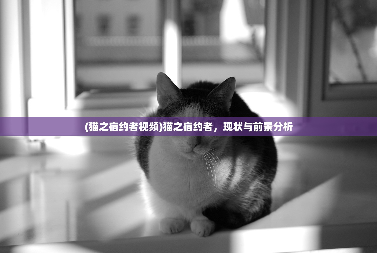 (狂奔还是狂奔拼音怎么写)狂奔还是狂奔，探索狂奔现象的多维视角