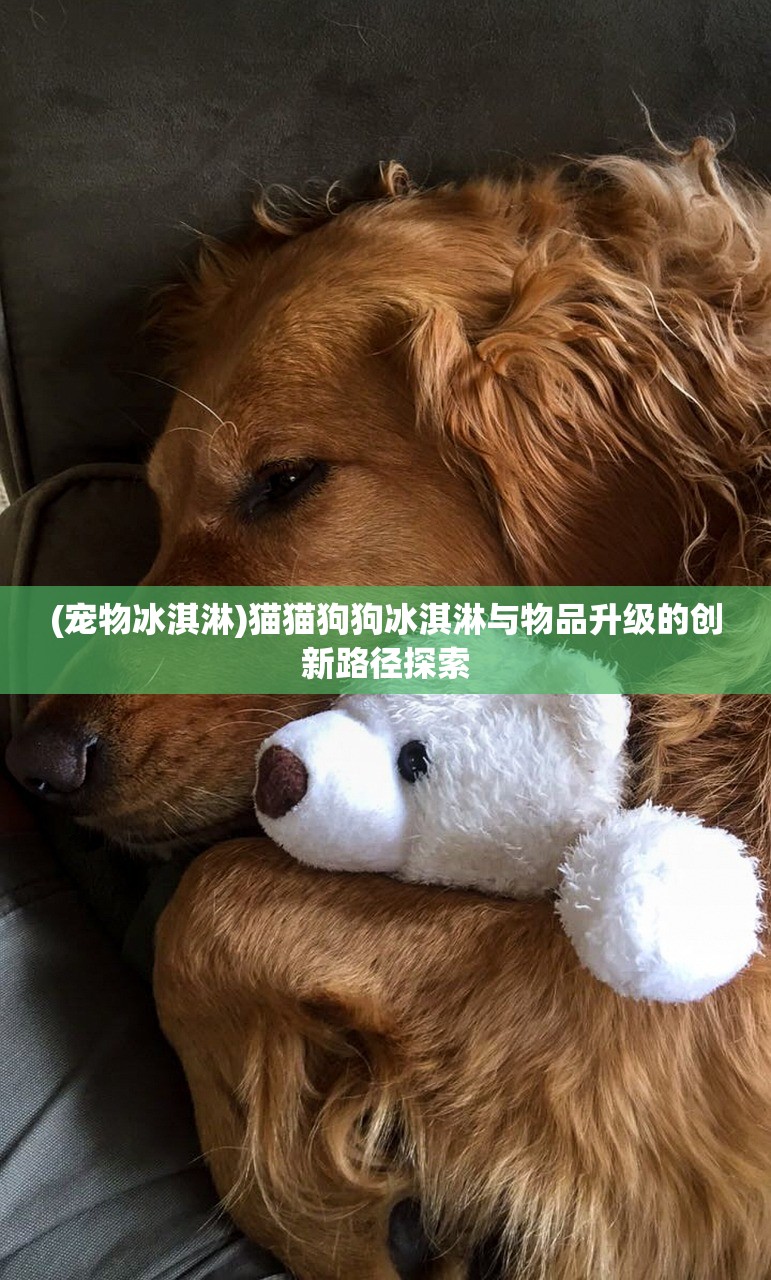 (宠物冰淇淋)猫猫狗狗冰淇淋与物品升级的创新路径探索
