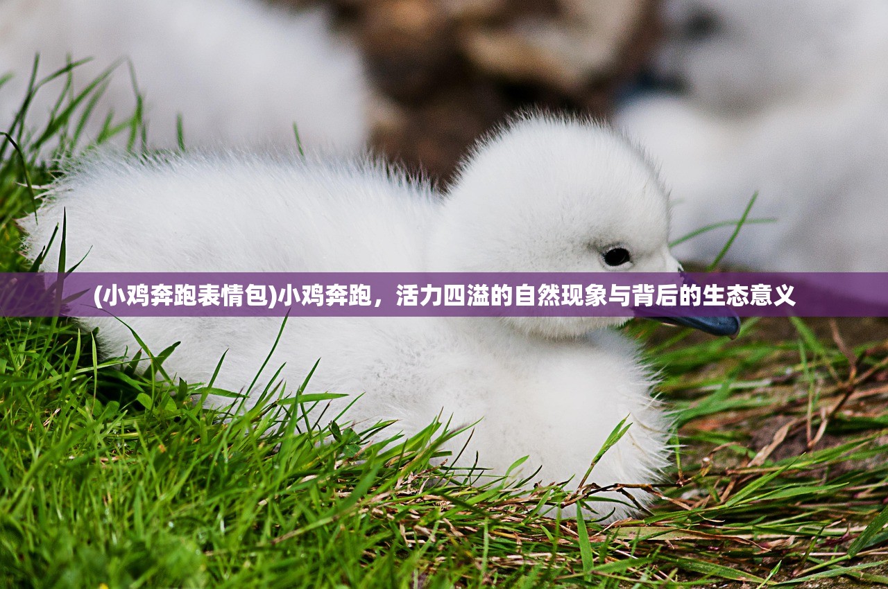 (真三国online)真三国录账号注册方法与密码设置指南