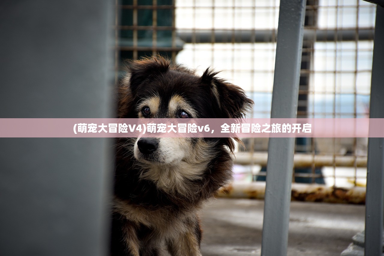 (超时空星舰修改)超时空星舰内置作弊菜单，游戏玩家的秘密武器？