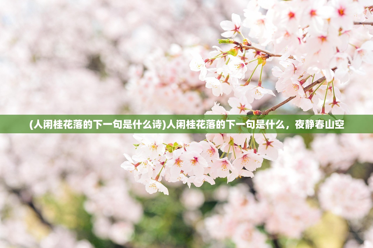 (美食大战老鼠最新版下载5.12.523)美食大战老鼠2最新版，游戏新体验与特色分析