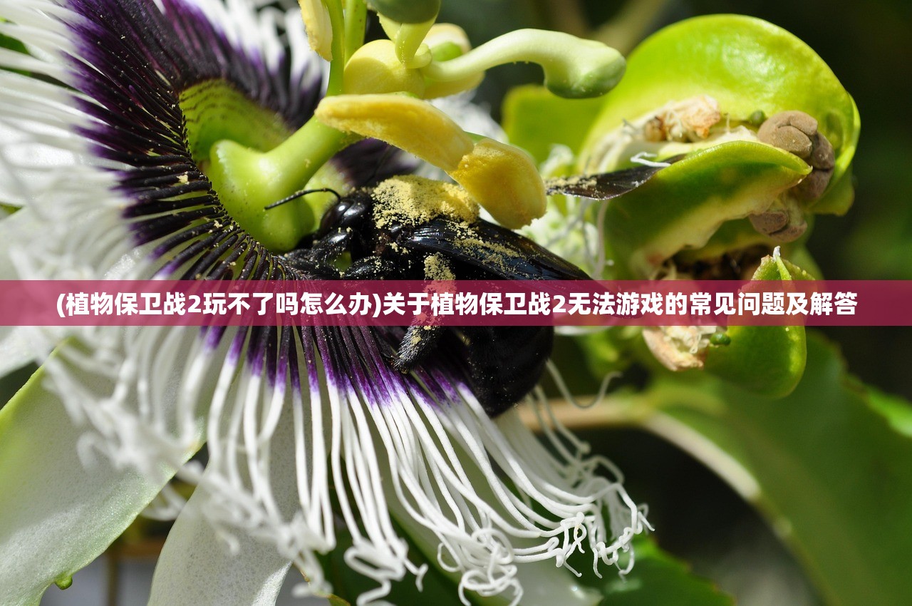 (三国召唤之征战天下)三国召唤之征战乱世龙血于皇，乱世英雄集结，召唤龙血征战四方