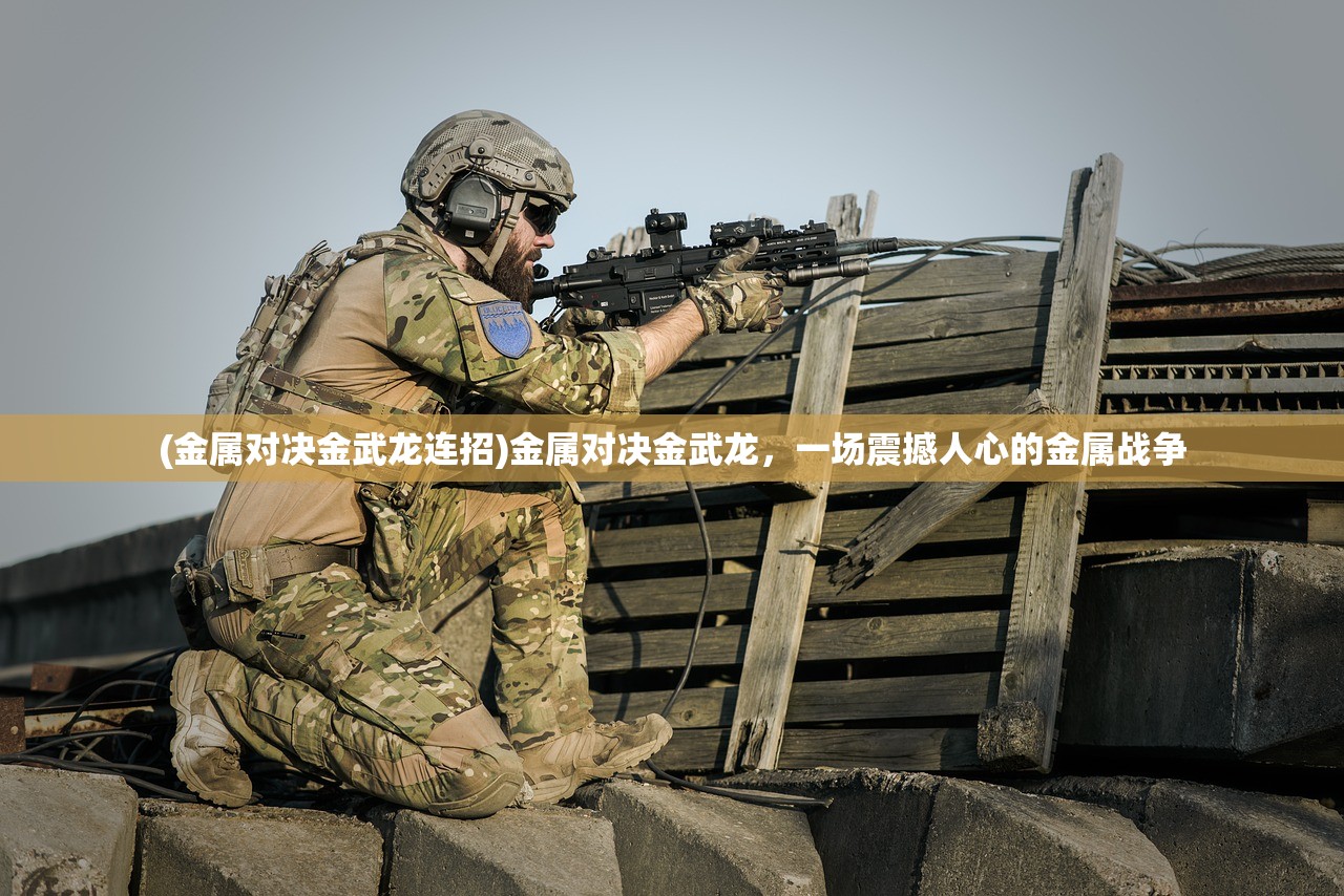 (金属对决金武龙连招)金属对决金武龙，一场震撼人心的金属战争