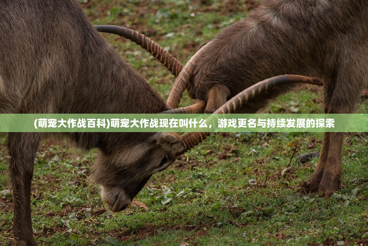 (萌宠大作战百科)萌宠大作战现在叫什么，游戏更名与持续发展的探索
