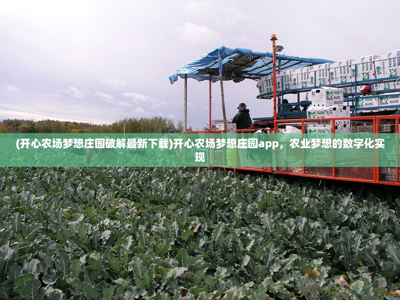 (开心农场梦想庄园破解最新下载)开心农场梦想庄园app，农业梦想的数字化实现