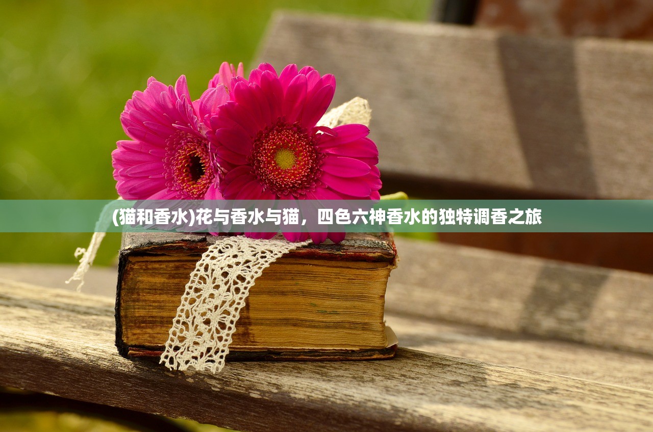 (猫和香水)花与香水与猫，四色六神香水的独特调香之旅