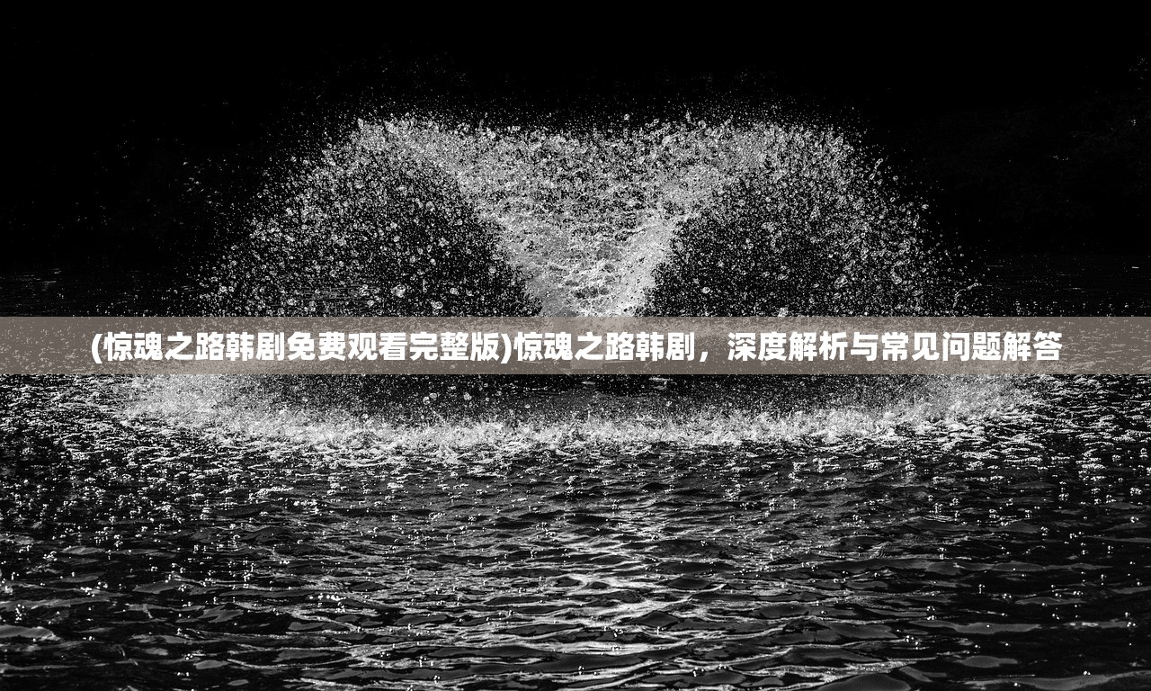 (赛尔达狐狸)狐尔达之魂游戏，深度探索与常见问题解答