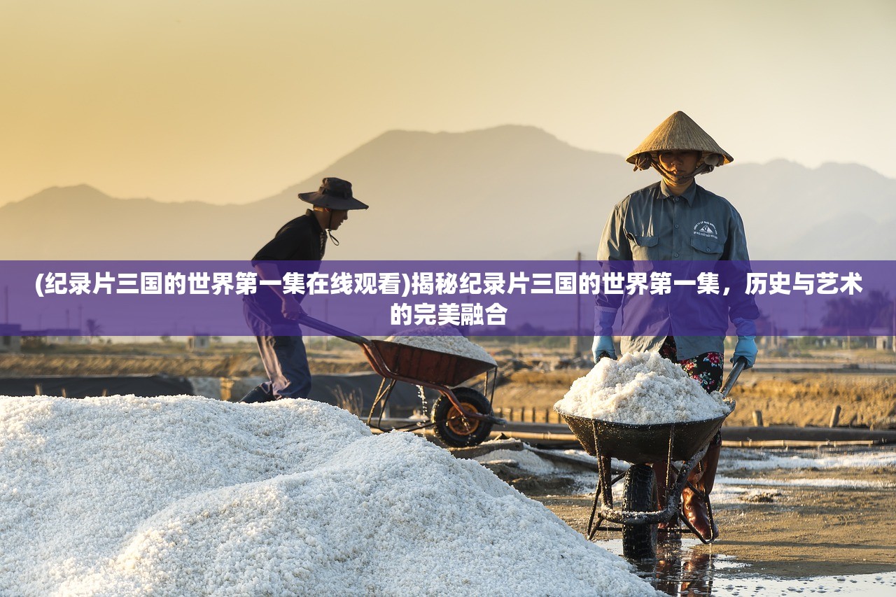 (纪录片三国的世界第一集在线观看)揭秘纪录片三国的世界第一集，历史与艺术的完美融合