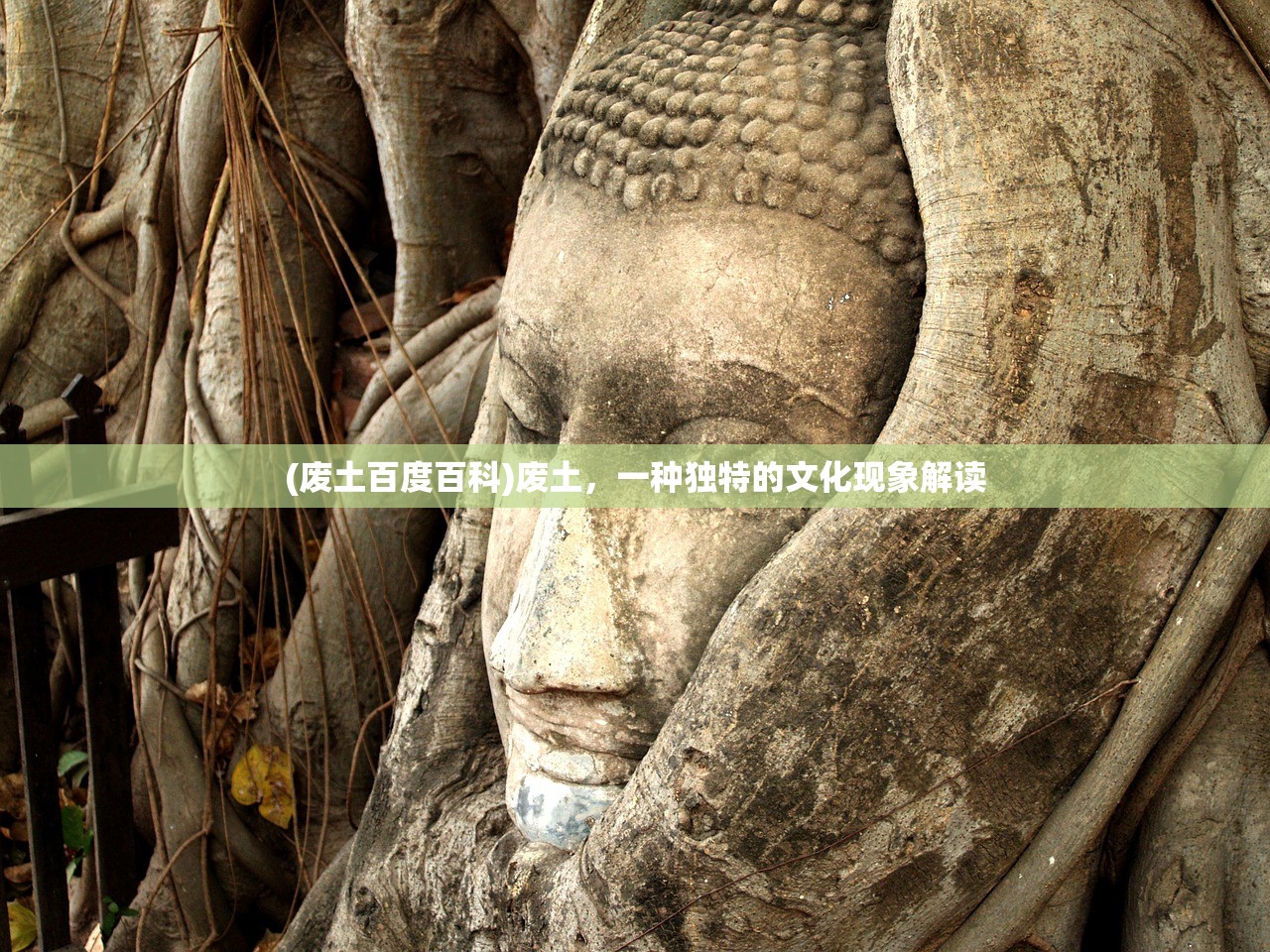 (废土百度百科)废土，一种独特的文化现象解读