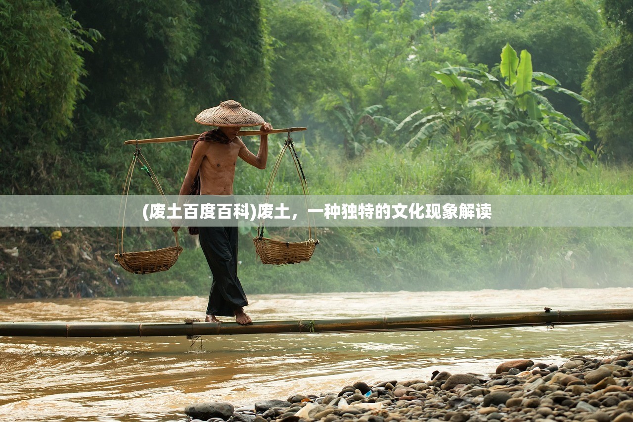 (废土百度百科)废土，一种独特的文化现象解读