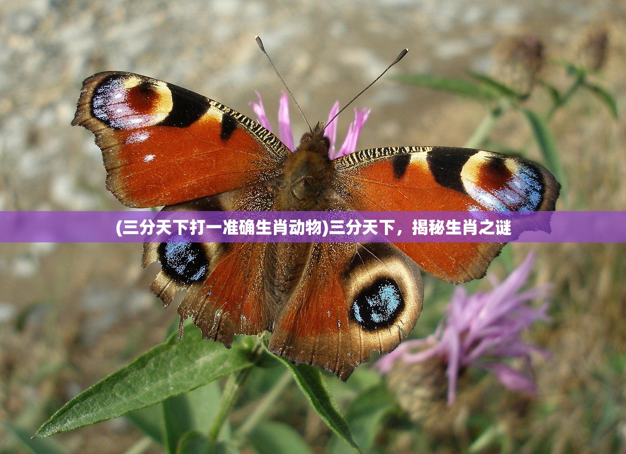 (三分天下打一准确生肖动物)三分天下，揭秘生肖之谜