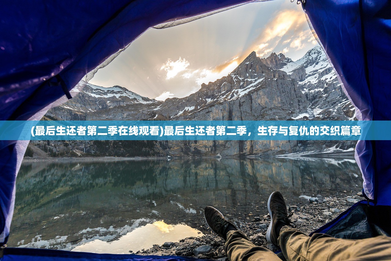 (最后生还者第二季在线观看)最后生还者第二季，生存与复仇的交织篇章