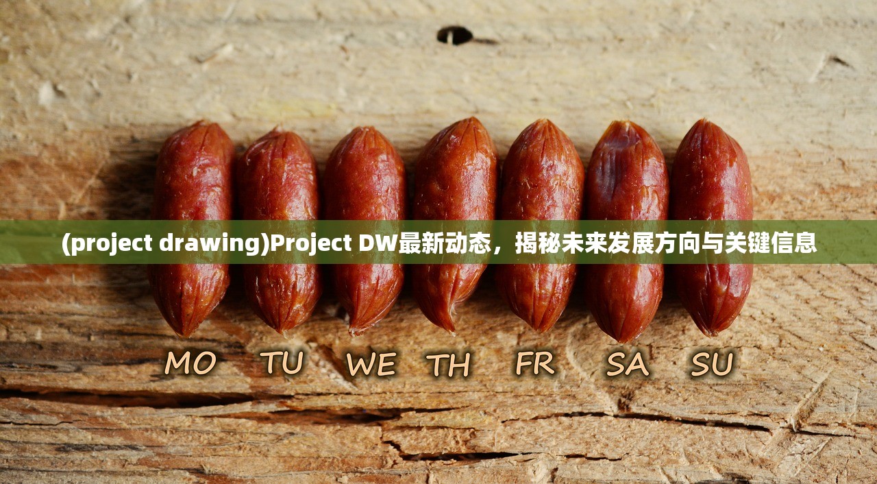 (project drawing)Project DW最新动态，揭秘未来发展方向与关键信息