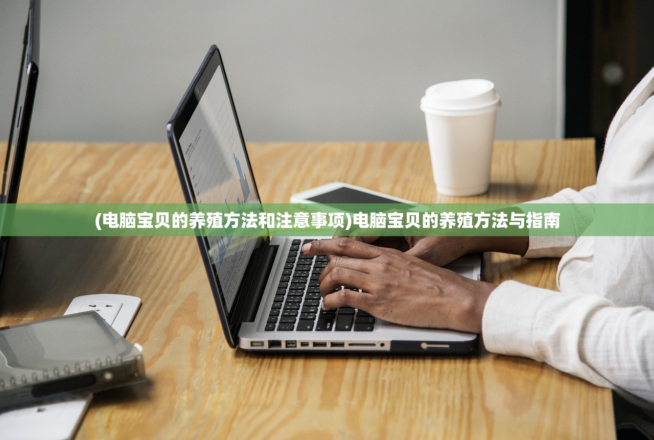 (电脑宝贝的养殖方法和注意事项)电脑宝贝的养殖方法与指南