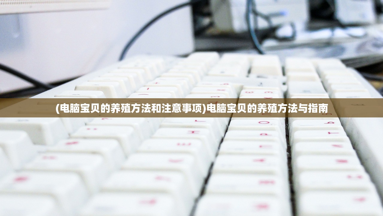 (电脑宝贝的养殖方法和注意事项)电脑宝贝的养殖方法与指南